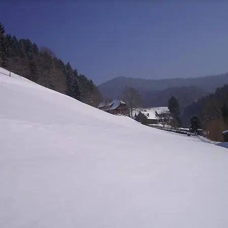 Vogt's Libding Bad Rippoldsau-Schapbach