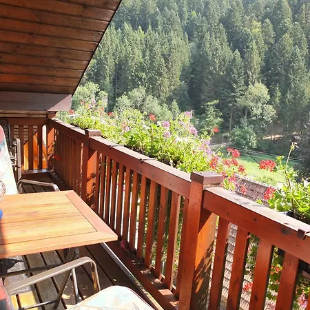 Apartment Vogt's Libding Bad Rippoldsau-Schapbach