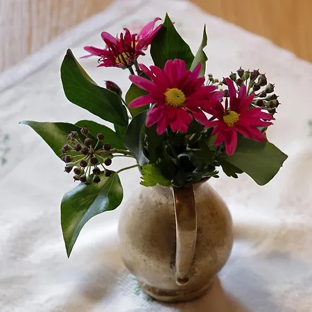 Apartamento Vogt's Libding Bad Rippoldsau-Schapbach