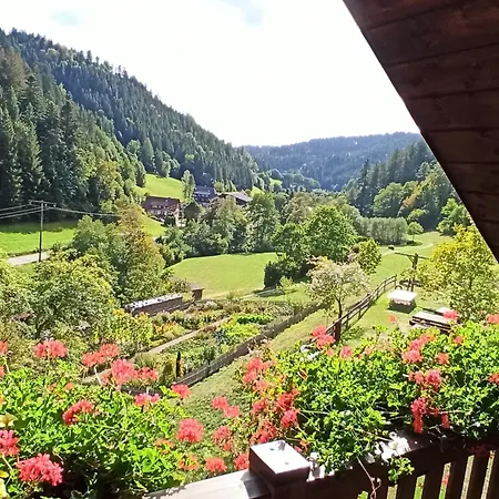 Vogt's Libding Apartment Bad Rippoldsau-Schapbach