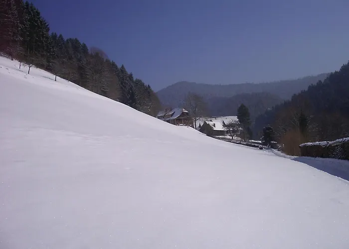 Vogt's Libding Bad Rippoldsau-Schapbach