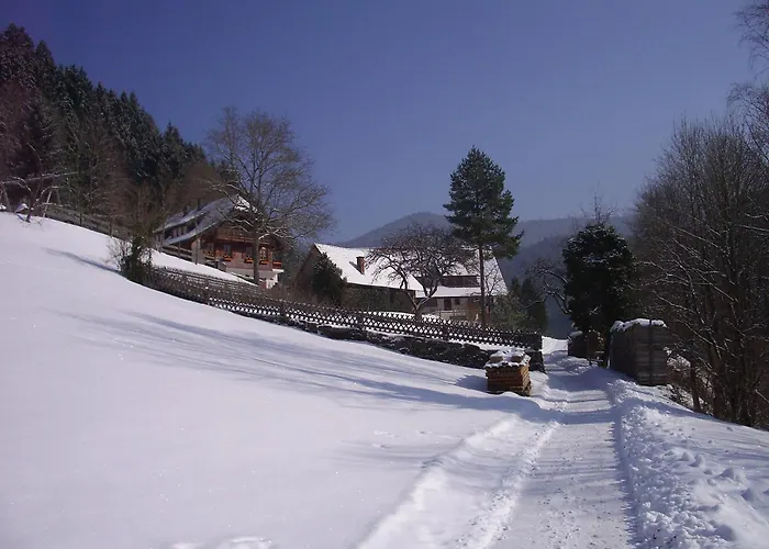 Vogt's Libding Daire Bad Rippoldsau-Schapbach