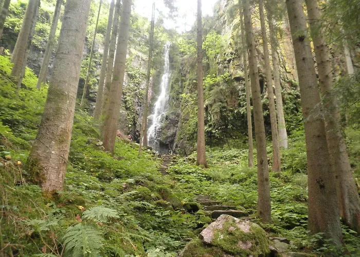 Vogt's Libding Bad Rippoldsau-Schapbach