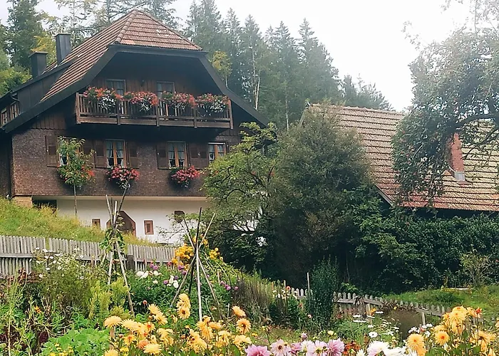 Daire Vogt's Libding