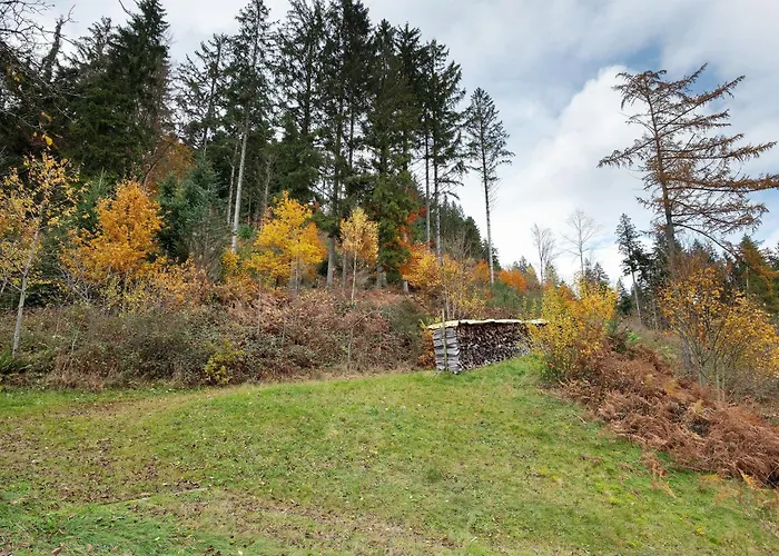 Vogt's Libding Bad Rippoldsau-Schapbach